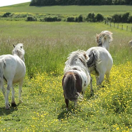 Ferme Du Mont Moret Leilighet Courdemanges Eksteriør bilde